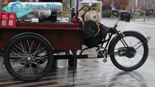 super electric coffee bike store ebike easy to ride Rstore2500