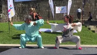 Portugal's Celebrations - World Health Qigong Day 2017