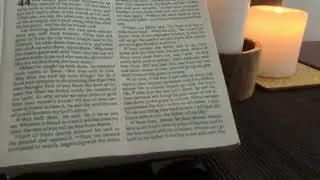 Sent on their way with donkeys | silver cup in a sack | Joseph | Genesis| NIV Holy Bible | &copy; biblica