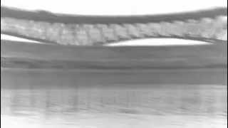 Rapace- Don Peretz STIL