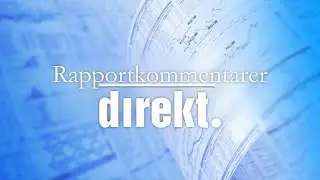 Rapportkommentar: Media and Games Invest