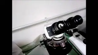 Scuola secondaria di I grado  Regina Elena