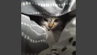 Sonno Tranquillo