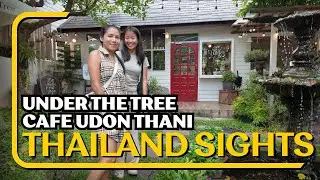 Under The Tree Cafe Udon Thani Attraction
