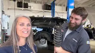 Why are struts important?