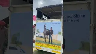 Sippy Gill Da Ghoda 🐎 ! #sippygill #horse