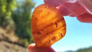 Huge Carnelian Agate Find! Beautiful Bands and Orange Glowing Crystal!!! #rockhounding