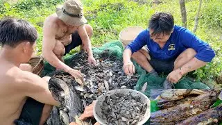 Dở chà Mùng , Bội thu gần 10kg Cá #49   | Út Phiêu Lưu