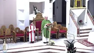 LIVE - Biserica Romano-Catolică  Sfinţii Petru si Paul  Bacau