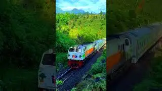 #Looking at this train, it can travel up to 60 kilometers per hour in speed#shortfilm#youtube#train