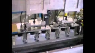 Case Packer Wepackit Machinery 350CP for F style containers