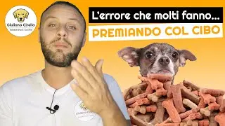 🐶 Il Cibo come Premio al Cane: L&rsquo;errore che il 90% Commette | Giuliano Addestratore