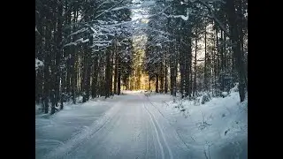 The World's Best Romantic Acoustic Guitar Instrumental ❤️ Soft Emotional Love Music for Relax & Calm