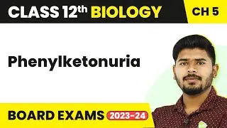 Class 12 Biology Chapter 5 | Phenylketonuria - Principles of Inheritance and Variation (2022-23)