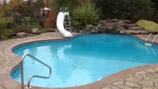 Freeform pool with incredible landscape