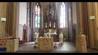 15ter Sonntag im Jahreskreis