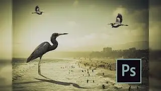 Big Birds - Photoshop Manipulation Tutorial