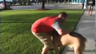 Dogs on Deployment Reunion - Kevin & Vito (@wwltv)