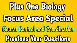 Previous Year Questions | Neural Control and Coordination | Plus One Zoology Focus Area Based Class