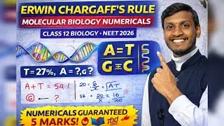 Erwin Chargaff&rsquo;s Rule in 5 Minutes | 5 Marks Guaranteed Numericals | Class 12 Biology | NEET 2026