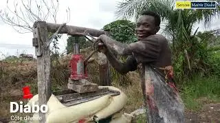 DIABO : la commune la plus convoitée du V-Baoulé (Côte d'Ivoire)