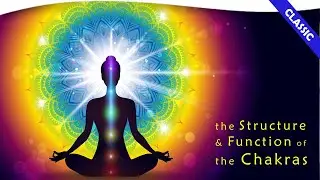 The Structure and Function of the Chakras with Shafica Karagulla | Theosophical Classic 1986