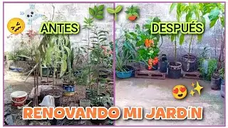 Renovando mi jardín reciclando 🌱♻️