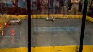 Day 2 Finals 2023 Orion vs Skid Daddy