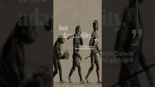 Adapt or Die: The Power of Adaptability