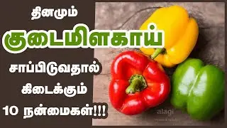 குடைமிளகாய் மருத்துவ பயன்கள்| Top 10 Health Benefits of Capsicum |Bell Pepper| kudai milagai |Health