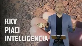A piackutat&aacute;s alapjai kkv-knak (MM 11)