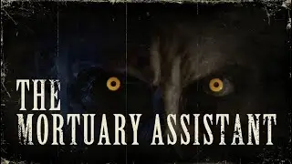 Mortuary Assistant - the fun begins....