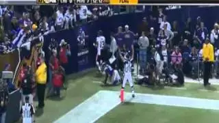 Johnny Knox 2009-2010 Touchdowns Highlights