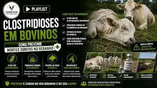 Manejo Sanit&aacute;rio de Bovinos - Parte 2. / Clostridioses.