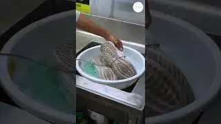 &ldquo;How We Wash & Tumble Dry Shoes | Laundry Business Secrets!&rdquo;