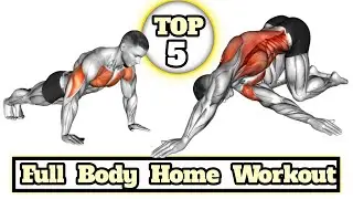15 Minute Full Body Home Workout (No Jumping & No Equipment) #workout 