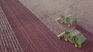 2018 west Texas cotton harvest