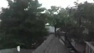 Hurricane Irene- Point Lookout, NY moving trees