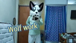 Wolf work