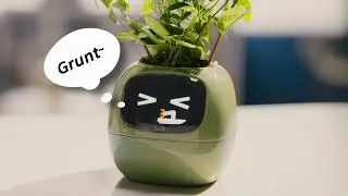 your gems or the playground, #SmartPlanter #AIPlanter #RealTamagochi pitgem.com