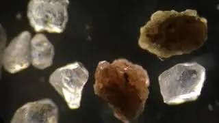 Grains of Sand Under a Microscope (40x and 100x)