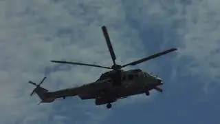 LOW-PASS H36 CARACAL