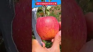 top 10 surprising health food facts 🍌🤯#trendingshorts #viralshort #amzaimgshort #shortsfeed #facts