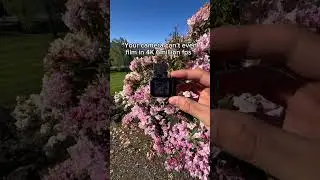 It&rsquo;s not always about quality 🥺 #camera #pov #pocketvideo #pocketretro