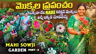 ఇంత Rare కలెక్షన్ ఎక్కడా లేదు|Rare collection of mahi sowji garden