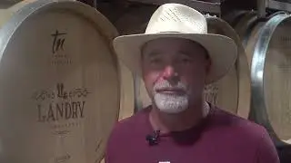 Landry Vineyards Blanc Du Bois Harvest 2022