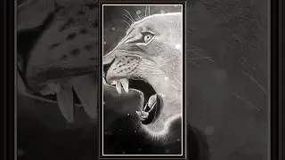 hyper realistic pencil art #shorts #shortsvideo #pencilart