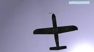 DBF21 - Virtual Fly-Off