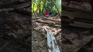 #playasdemexico 