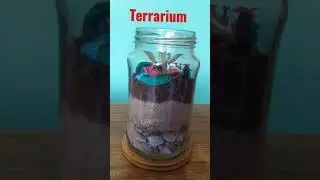 best way to use old glass jar...